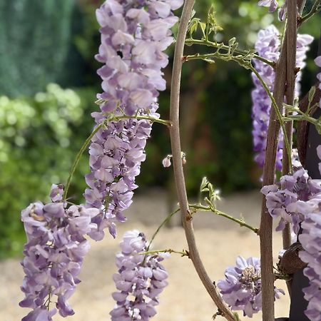 Bakea Apto Con Jardin Privado Бакио Экстерьер фото