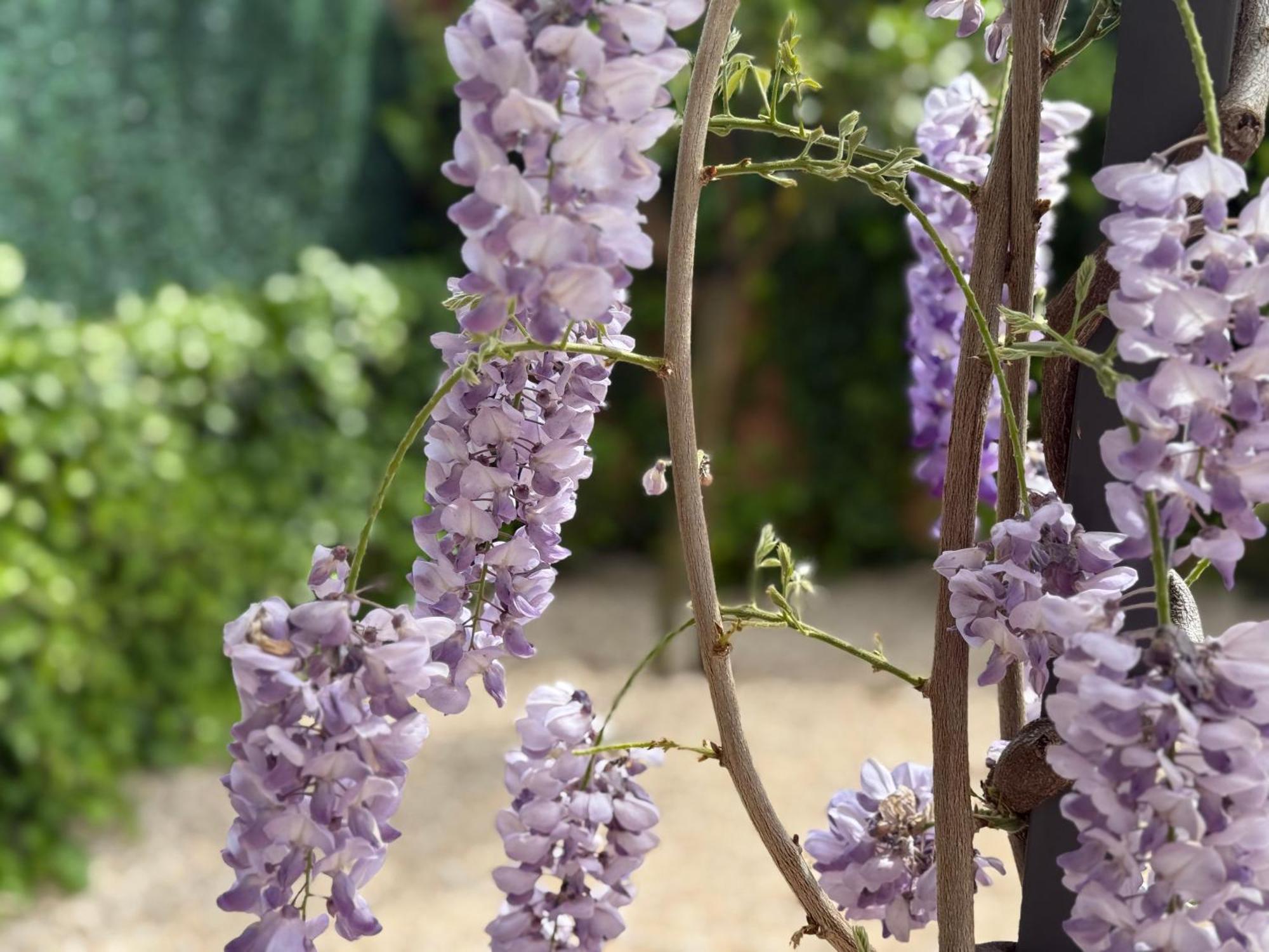 Bakea Apto Con Jardin Privado Бакио Экстерьер фото
